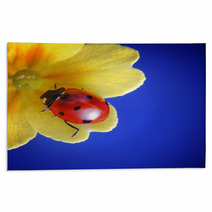 Ladybug Rugs 66333000