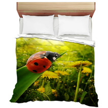 Ladybug Sunlight On The Field Bedding 51032157