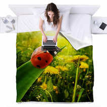 Ladybug Sunlight On The Field Blankets 51032157