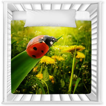 Ladybug Sunlight On The Field Nursery Decor 51032157