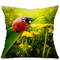 Ladybug Sunlight On The Field Pillows 51032157