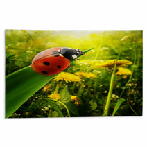 Ladybug Sunlight On The Field Rugs 51032157