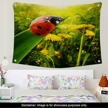 Ladybug Sunlight On The Field Wall Art 51032157