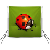 Ladybug Vector Icon Backdrops 55571991
