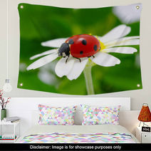 Ladybug Wall Art 51650752