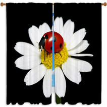 Ladybug Window Curtains 59980878