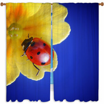 Ladybug Window Curtains 66333000