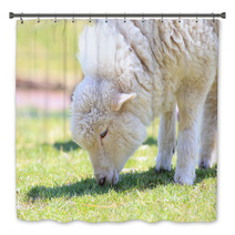 Lamb grazing Bath Decor 67025826