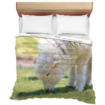 Lamb grazing Bedding 67025826