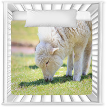 Lamb grazing Nursery Decor 67025826