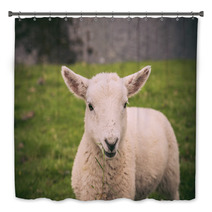Lamb In Neist Point Fields, Isle Of Skye, Scotland Bath Decor 91563337