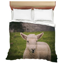 Lamb In Neist Point Fields, Isle Of Skye, Scotland Bedding 91563337