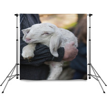 Lamb With Shepherd Backdrops 75345747