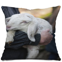 Lamb With Shepherd Pillows 75345747