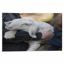 Lamb With Shepherd Rugs 75345747