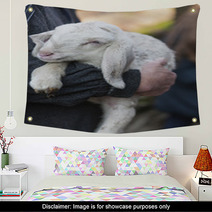 Lamb With Shepherd Wall Art 75345747