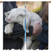 Lamb With Shepherd Window Curtains 75345747
