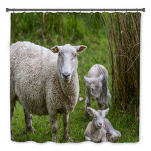 Lambs And Sheep Bath Decor 71155991