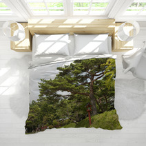 Landscape With Pine Bedding 68708557