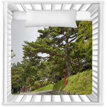 Landscape With Pine Nursery Decor 68708557
