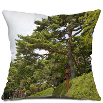 Landscape With Pine Pillows 68708557