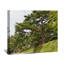 Landscape With Pine Wall Art 68708557