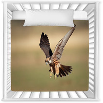 Lanner Falcon Landing Nursery Decor 40881839