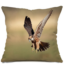 Lanner Falcon Landing Pillows 40881839