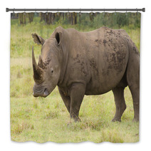 Large Bull Rhino On Grasslands Bath Decor 58393334