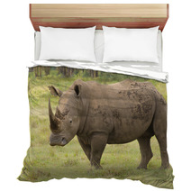 Large Bull Rhino On Grasslands Bedding 58393334