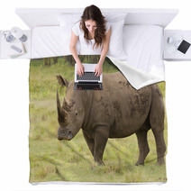 Large Bull Rhino On Grasslands Blankets 58393334