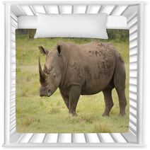 Large Bull Rhino On Grasslands Nursery Decor 58393334