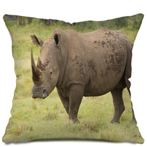 Large Bull Rhino On Grasslands Pillows 58393334