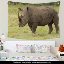 Large Bull Rhino On Grasslands Wall Art 58393334
