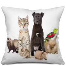 Large Group Of Pets. Isolated On White Background Pillows 97424105