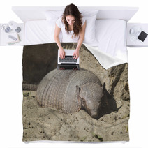 Large Hairy Armadillo Resting Blankets 88396978