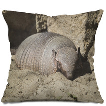 Large Hairy Armadillo Resting Pillows 88396978