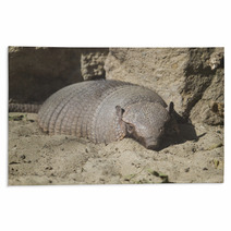 Large Hairy Armadillo Resting Rugs 88396978