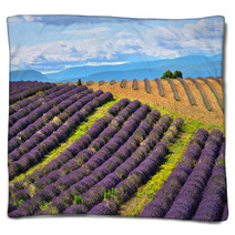 Lavender Field Blankets 67904789