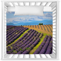Lavender Field Nursery Decor 67904789