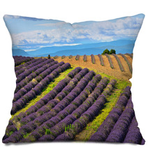 Lavender Field Pillows 67904789