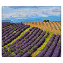 Lavender Field Rugs 67904789