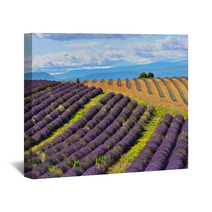 Lavender Field Wall Art 67904789