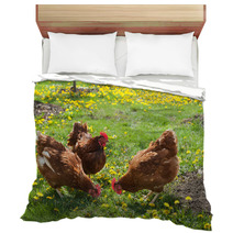Laying Hens In The Yard Bedding 49404974