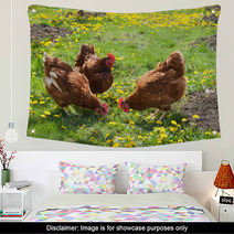 Laying Hens In The Yard Wall Art 49404974