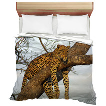 Lazy Lounging Leopard Bedding 225789