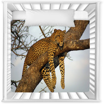 Lazy Lounging Leopard Nursery Decor 225789