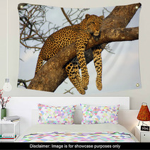 Lazy Lounging Leopard Wall Art 225789