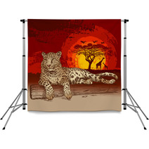 Leopard At Sunset Backdrops 42045553