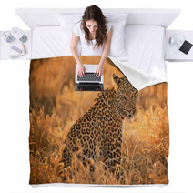 Leopard At Sunset Blankets 62081952